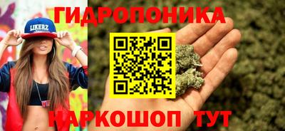 альфа пвп Кингисепп
